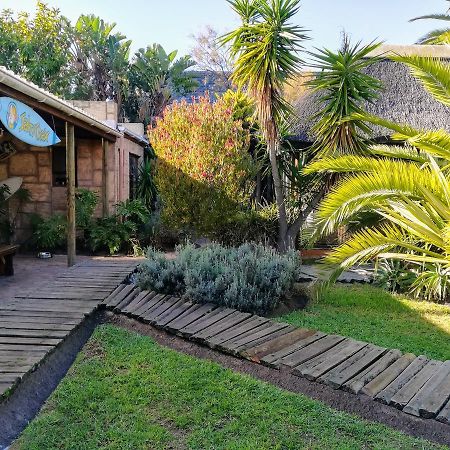 Saltycrax Backpackers And Surf Hostel By Curiocity Блубергстранд Екстериор снимка