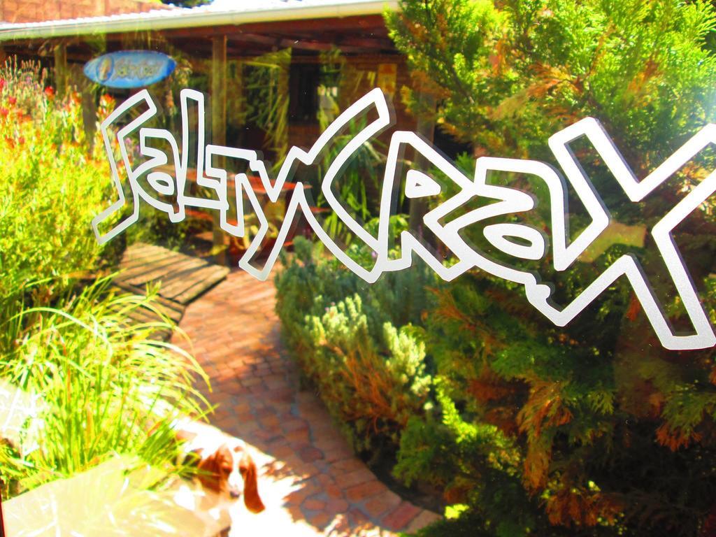 Saltycrax Backpackers And Surf Hostel By Curiocity Блубергстранд Екстериор снимка