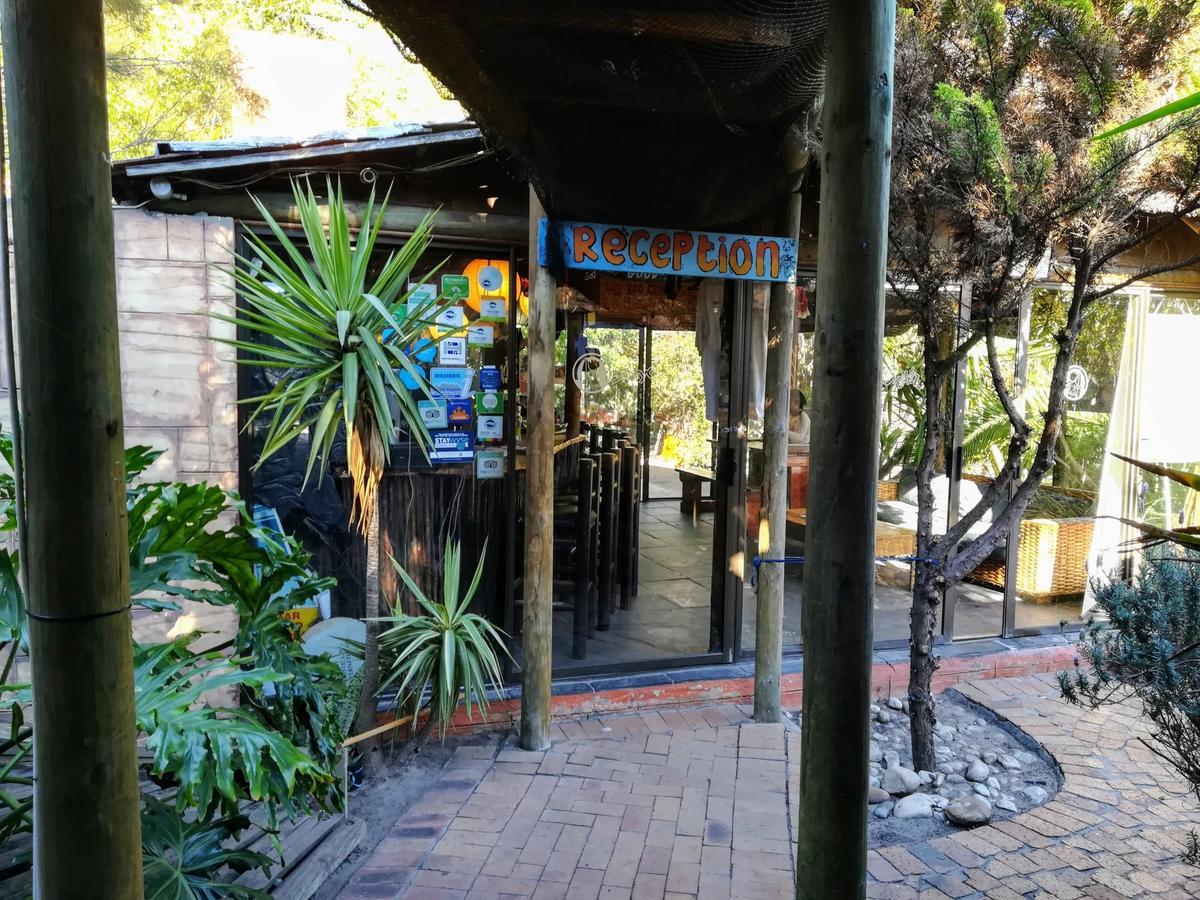 Saltycrax Backpackers And Surf Hostel Блубергстранд Екстериор снимка