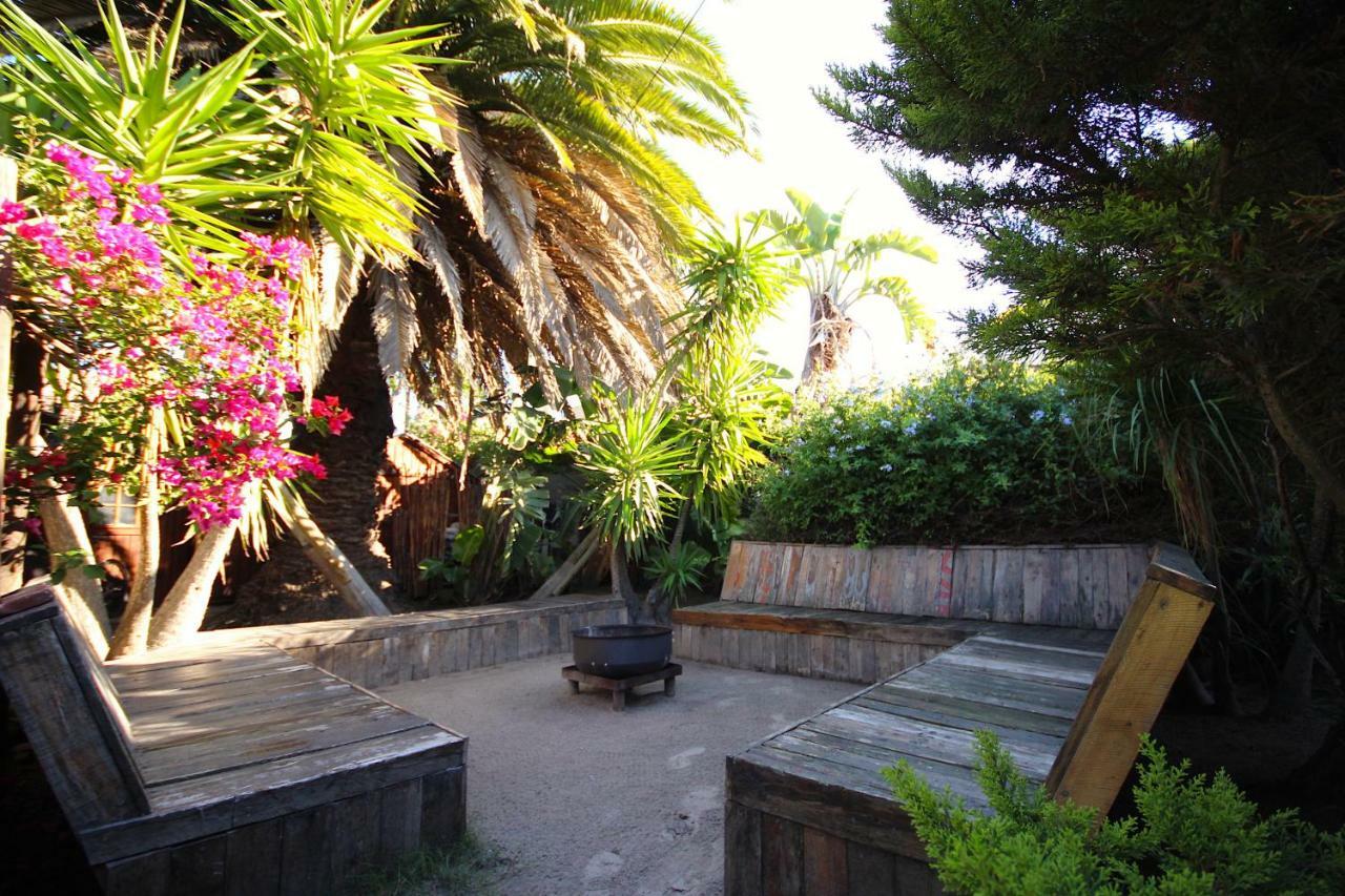 Saltycrax Backpackers And Surf Hostel Блубергстранд Екстериор снимка