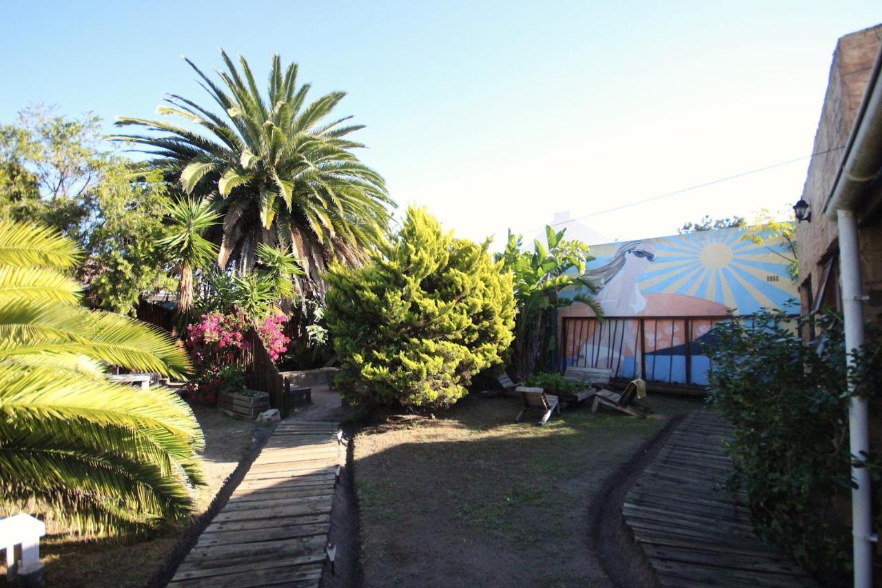 Saltycrax Backpackers And Surf Hostel Блубергстранд Екстериор снимка