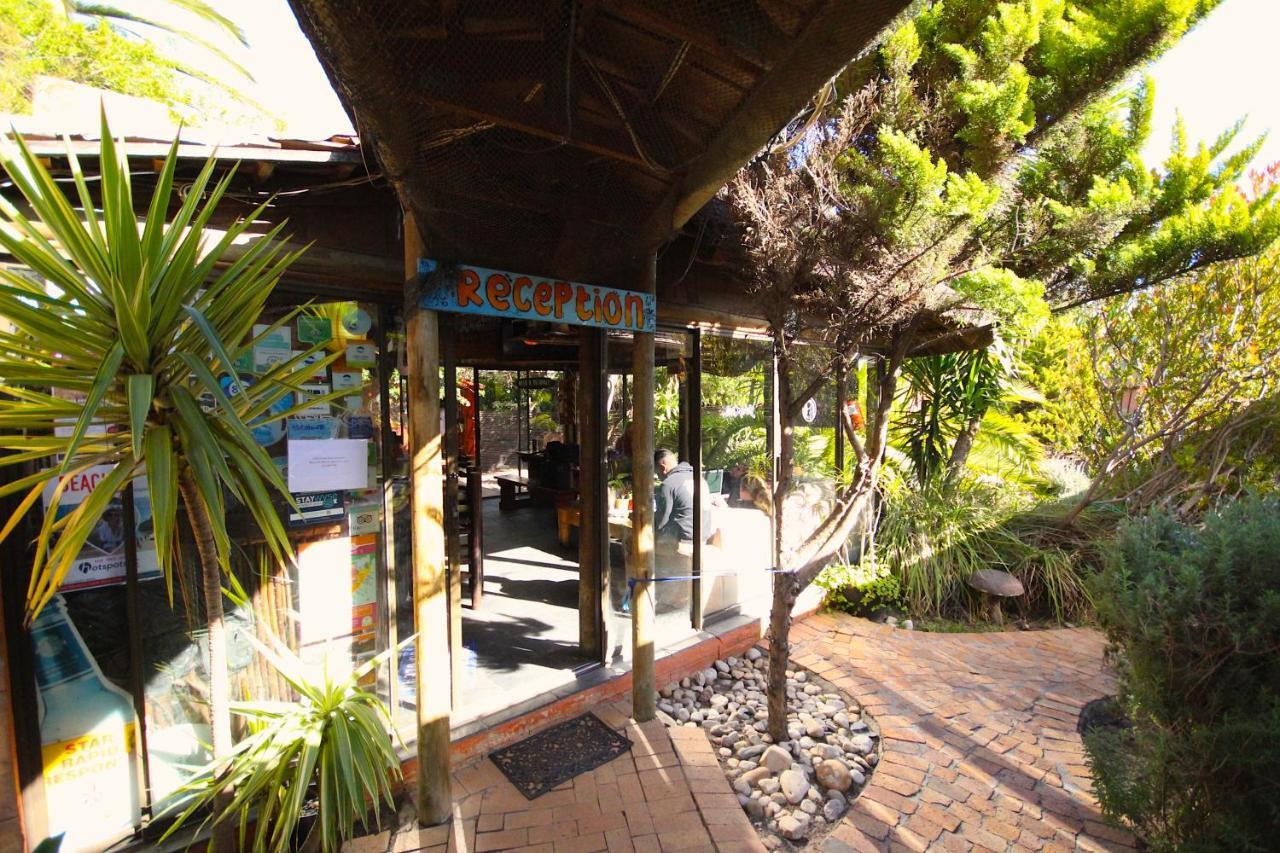 Saltycrax Backpackers And Surf Hostel Блубергстранд Екстериор снимка